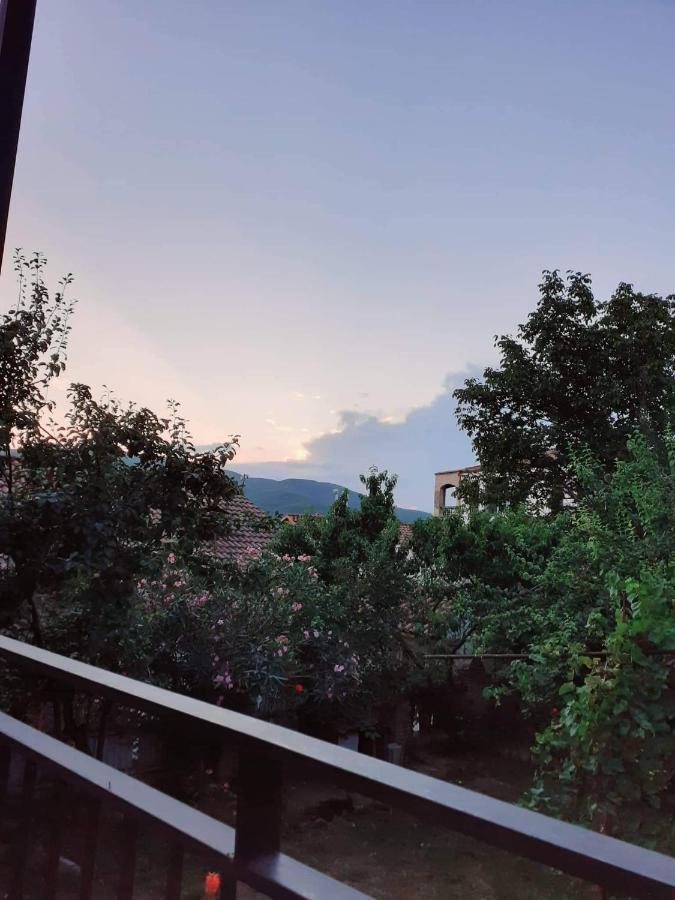 Kizikis Kari Hotel Signagi Buitenkant foto